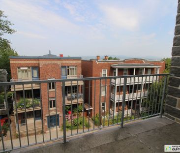 2 1/2-167, rue des Franciscains, Montcalm à louer - Photo 3