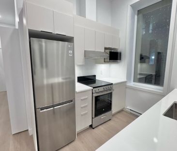 2630 Rue Notre-Dame O., app.102, H3J 1N7, H3J 1N7, Montréal - Photo 5