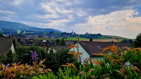 Rent a 6 rooms single house in Niederweningen - Photo 3