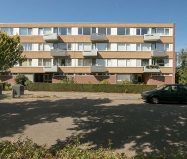 Apartment Venlo - Hogeschoorweg - Photo 1