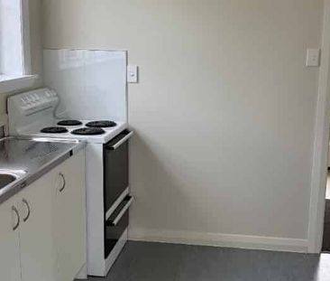 Wee Unit in Wakari - Photo 5