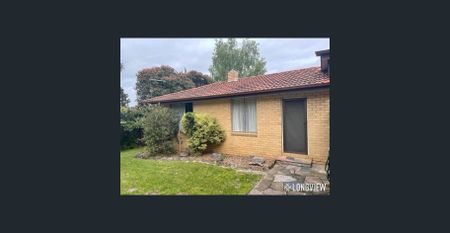 Neat & Desirable - Photo 4