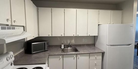 Appartement 3 1/2 à Louer Le 1er Mai - Photo 3