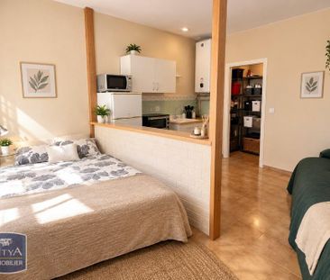 Location Appartement 1 pièce 20m² CHINON 37500 - Photo 1