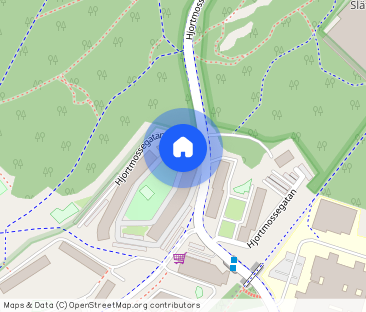 Hjortmossegatan 154 - Foto 1