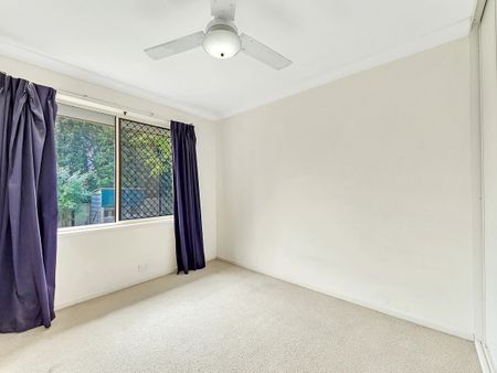 Petrie - Photo 2