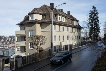 Totalsaniertes Jugendstilhaus oberhalb dem Stadtzentrum - Foto 5