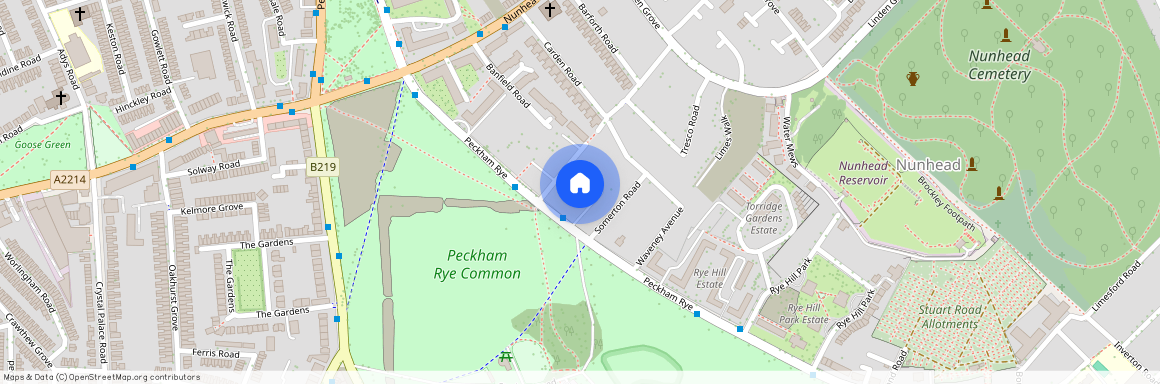 Peckham Rye, Peckham Rye
