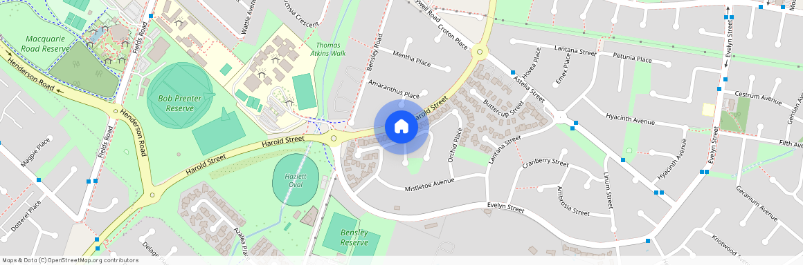 39 Hydrangea Place, Macquarie Fields