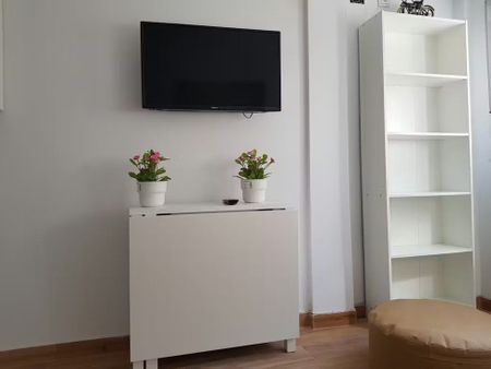 Calle San Vicente de Paúl, Sevilla, Andalusia 41010 - Photo 4