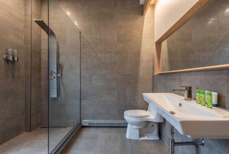 Rue Cherrier, H2L 1H6, Montréal - Photo 5