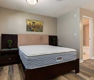 Renovated Suite - 1 Bedroom - Photo 2