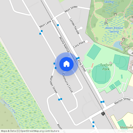 40A Conmurra Circuit, NSW 2307, Shortland