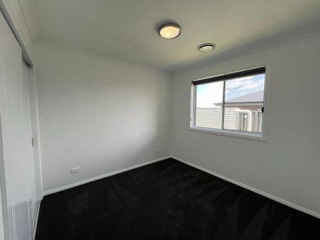 93 Argyle Avenue, Dubbo NSW 2830 - House For Rent | Domain - Photo 3