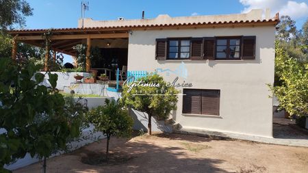 Μονοκατοικία για ενοικίαση - Ανάβυσσος, - Photo 3