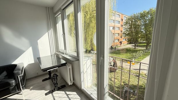 wynajem 2 pokojowe na 9 maja na parterze - Zdjęcie 1