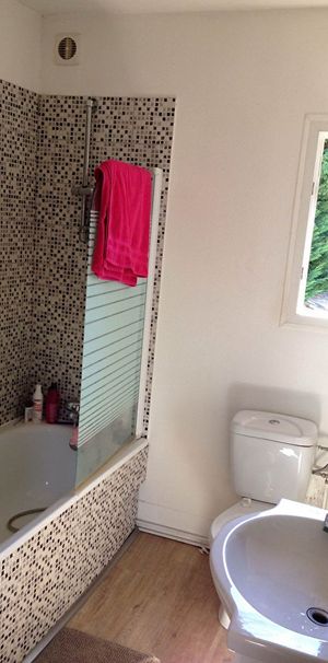 33100 BORDEAUX BASTIDE - Appartement 1 pièce à louer - Photo 1