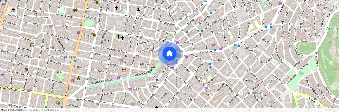 Φωκίωνος Νέγρη, Κυψέλη