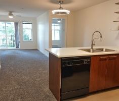 Carmichael House in Brentwood Unfurnished 2 Bed 2 Bath Apartment For Rent at 218-4868 Brentwood Drive Burnaby - Photo 5