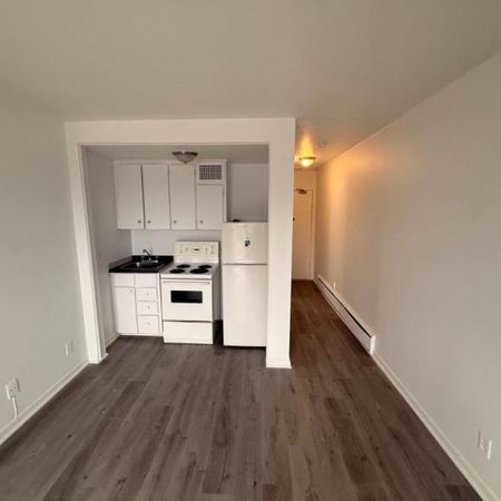 1 CH - 1 SDB - Montréal - $1,149 /mo - Photo 4