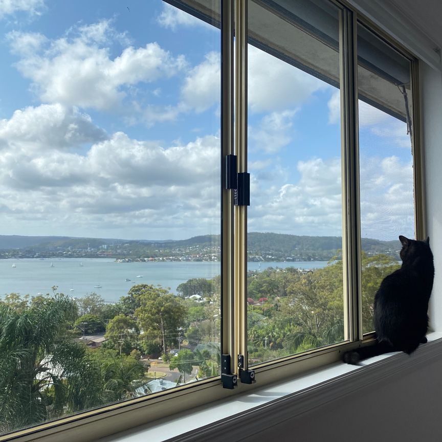 Green Point - Photo 1