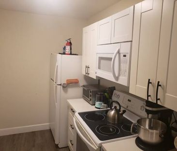 One bedroom suite near UVIC - Feb 15th or March 1st - Photo 1