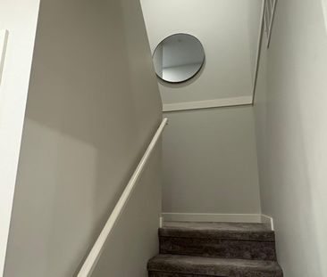 Newly Renovated in Lower Mission - Photo 6