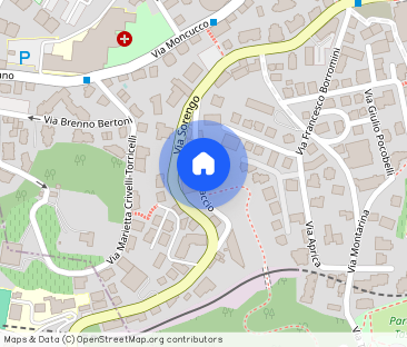 Rent a 1 ½ rooms apartment in Lugano - Photo 1