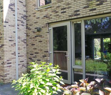 Nieuw - Foto 3