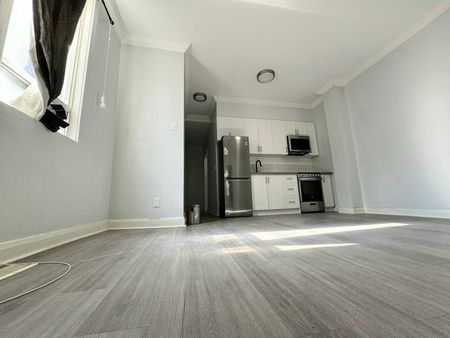 For Lease - 2 Emerson Avenue Unit# Lower, Toronto, Ontario - Photo 5