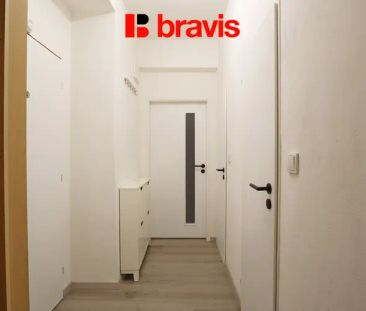 Pronájem bytu 2+1, Brno - Veveří, ulice Úvoz, dobrá dostupnost - Photo 1