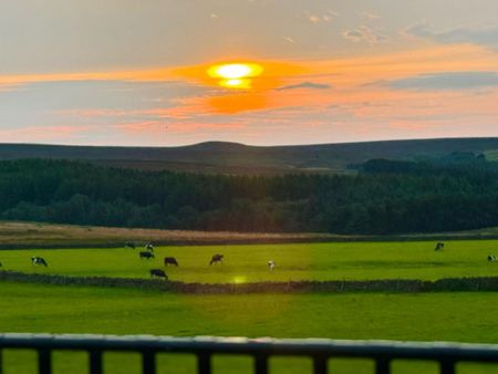 3 bedroom detached house to rent - Photo 4