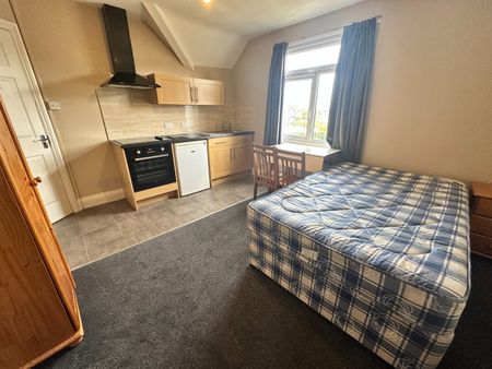 Bedsit, Manor Park, BS6 - Photo 2