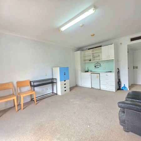 208/33 Bayswater Road, Potts Point NSW 2011 - Studio For Rent | Domain - Photo 4