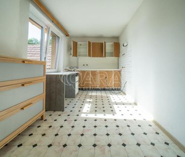 Pronájem domu 250 m2 - Fotografie 3