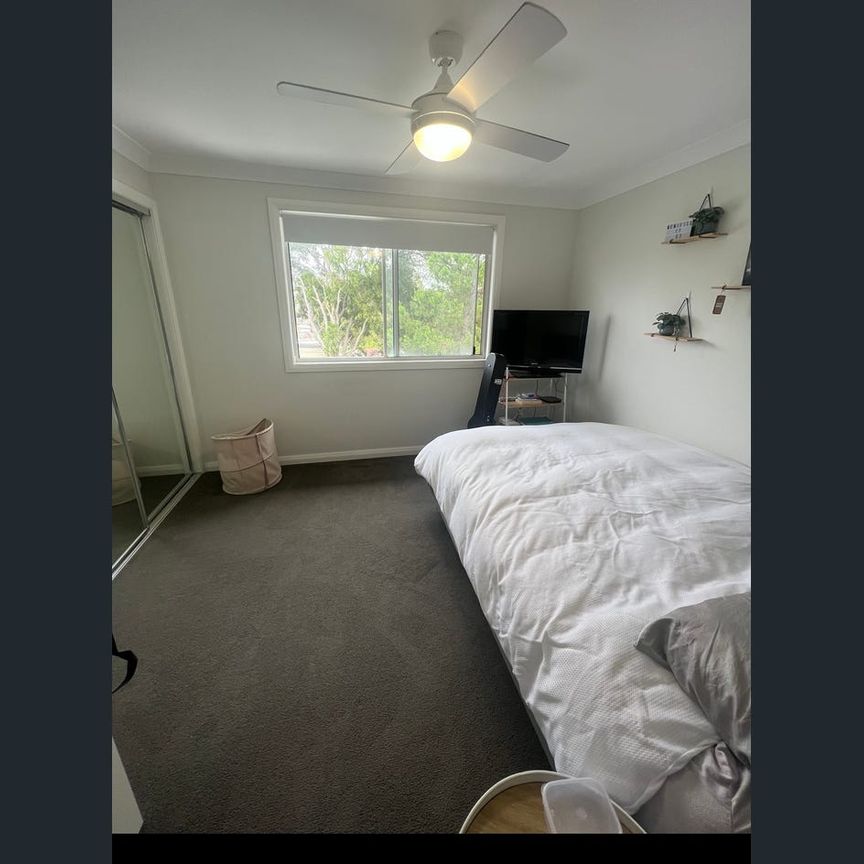 Three-bedroom house - air con to main bedroom / lounge room, private courtyard - single lock up garage!! - Photo 1