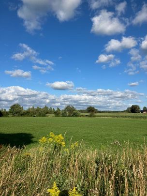Pilgatan, Ljungbyhed - Foto 1