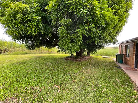 RURAL LIFESTYLE CLOSE TO TOWN - Photo 1