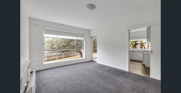 Freshly Updated & Perfectly Located! - Photo 1