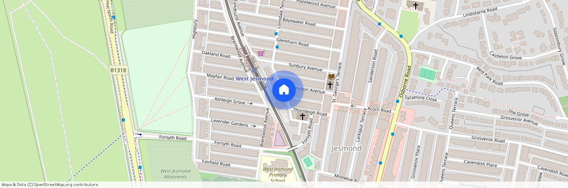 West Jesmond Avenue, Newcastle Upon Tyne