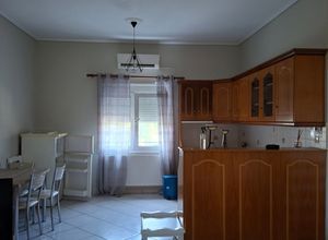 Studio/Γκαρσονιέρα για ενοικίαση - Λέσβος - Καλλονή, - Photo 4