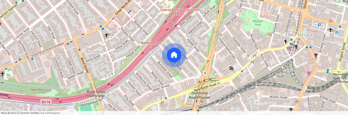 19 Alexander Street, Kingsland, Auckland