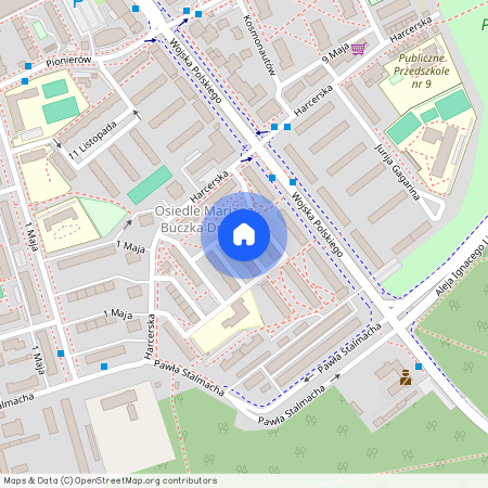 ul. Romana Dmowskiego, Śródmieście, Kędzierzyn-Koźle, kędzierzyńsko-kozielski, opolskie