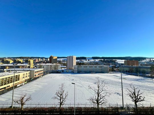 Lumineux appartement rénové de 3 pièces - Photo 1