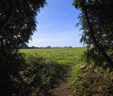 1 bedroom cottage to rent - Photo 4