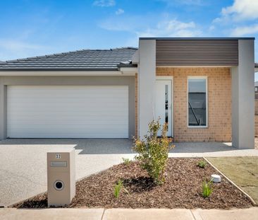 Move Right In - Photo 2