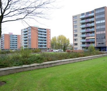 Te huur: Hoge Filterweg 624 - Foto 4