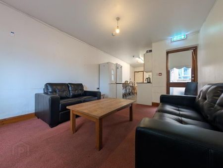 Flat 2, 6 Eglantine Avenue, Belfast, BT9 6DX - Photo 4