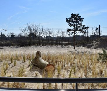 Galileistate 109 - Photo 4