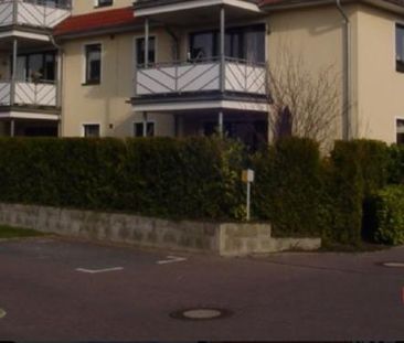 Suche 2 zimmer Wohnung am Wemkenhof in Oldenburg - Photo 1